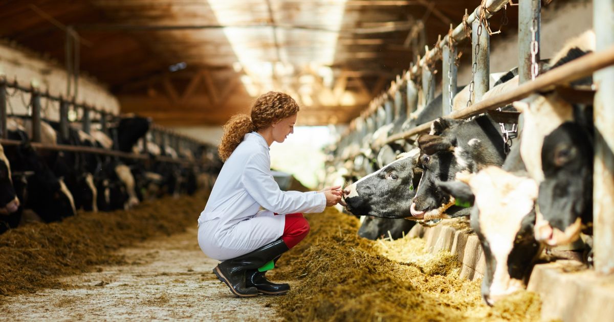 Sicherheitsbeauftragter in der Landwirtschaft